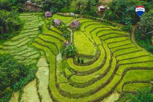  Thoeng, Plong 